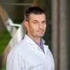 Dr. Farkas Attila - Belgyógyász, Kardiológus, Sportorvos