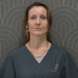 Dr. P&aacute;lh&aacute;zy T&iacute;mea - Seb&eacute;sz