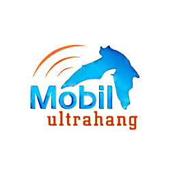 Mobil Ultrahang-Budakeszi