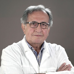 Dr. Lakatos József Ph.D. - 