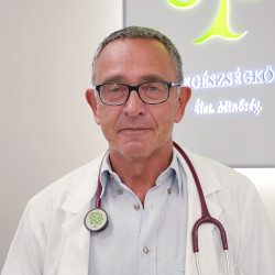 Prof. Dr. Strausz János - 